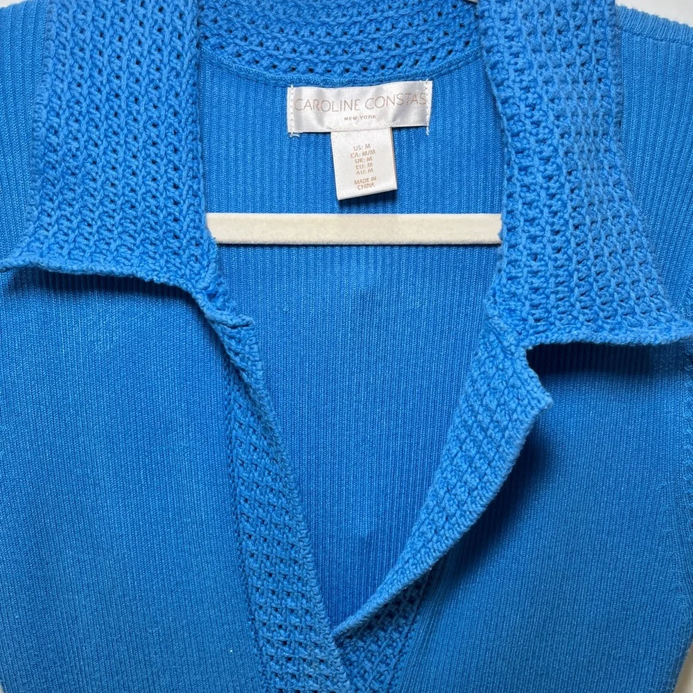 Caroline Constas Vibrant Blue Midi Dress - Picture 2 of 6